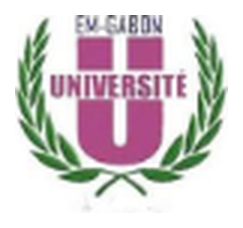 Logo EM-Gabon Université